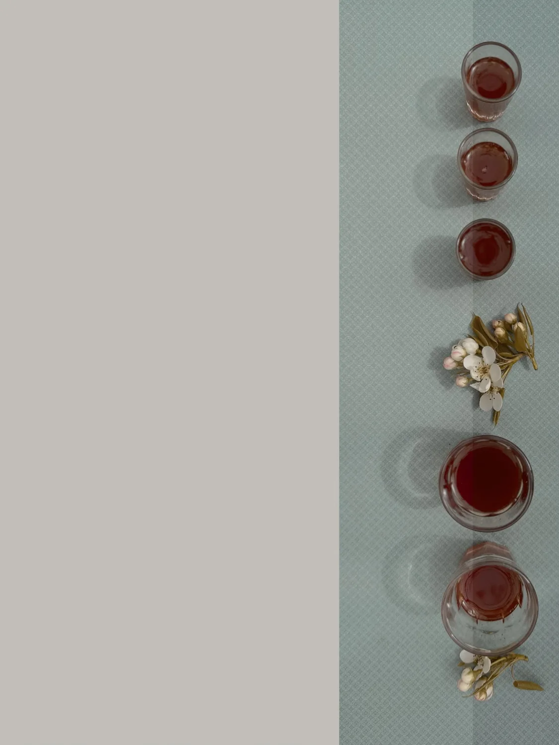 Zhioise gallery image 16