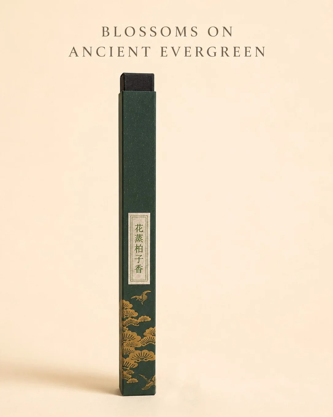 Blossoms on Ancient Evergreen Incense 花蒸柏子香